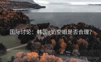 国际讨论：韩国g奶空姐是否合理？