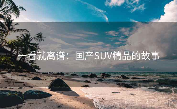 一看就离谱:国产SUV精品的故事 一看就离谱:国产SUV精品的故事